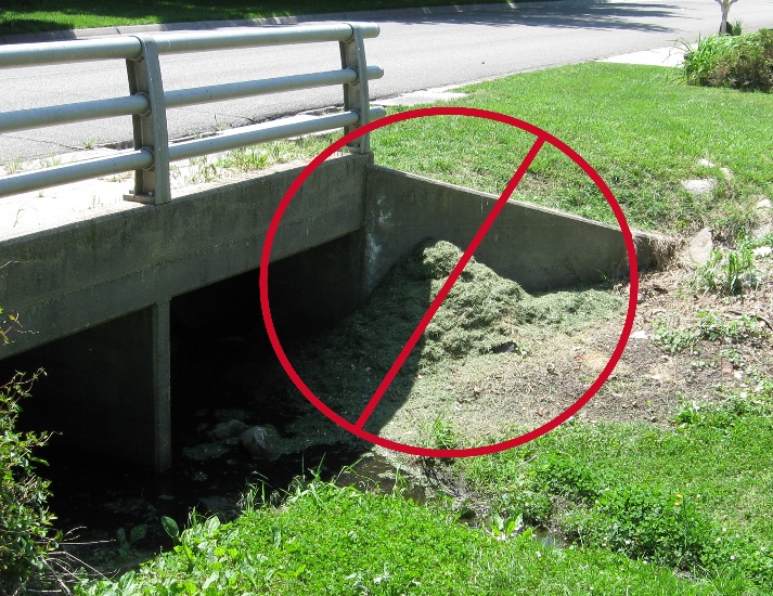 Storm outlet with buildup of grass clippings